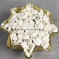 Chinese New Crop Snow White Pumpkin Seeds Factory